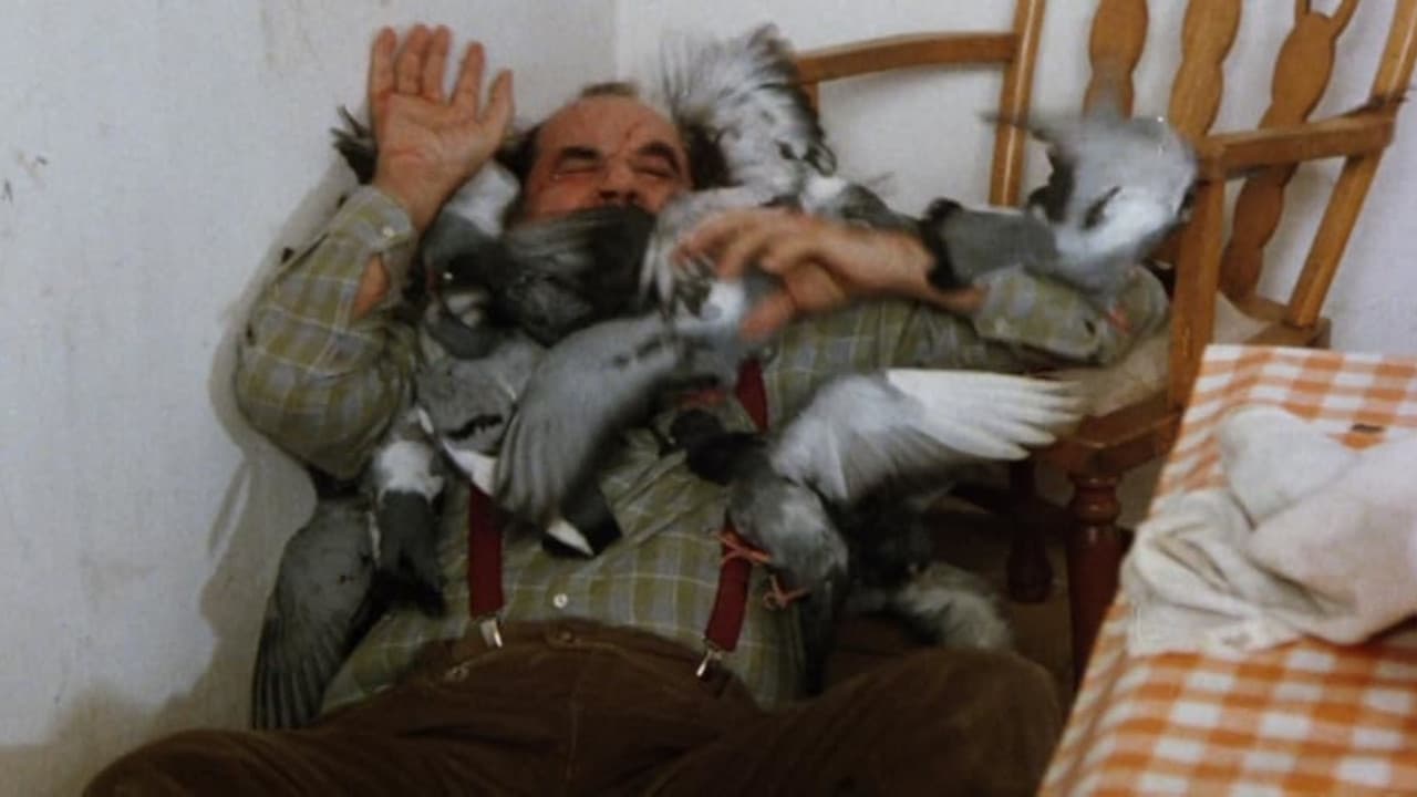 Нападение птиц