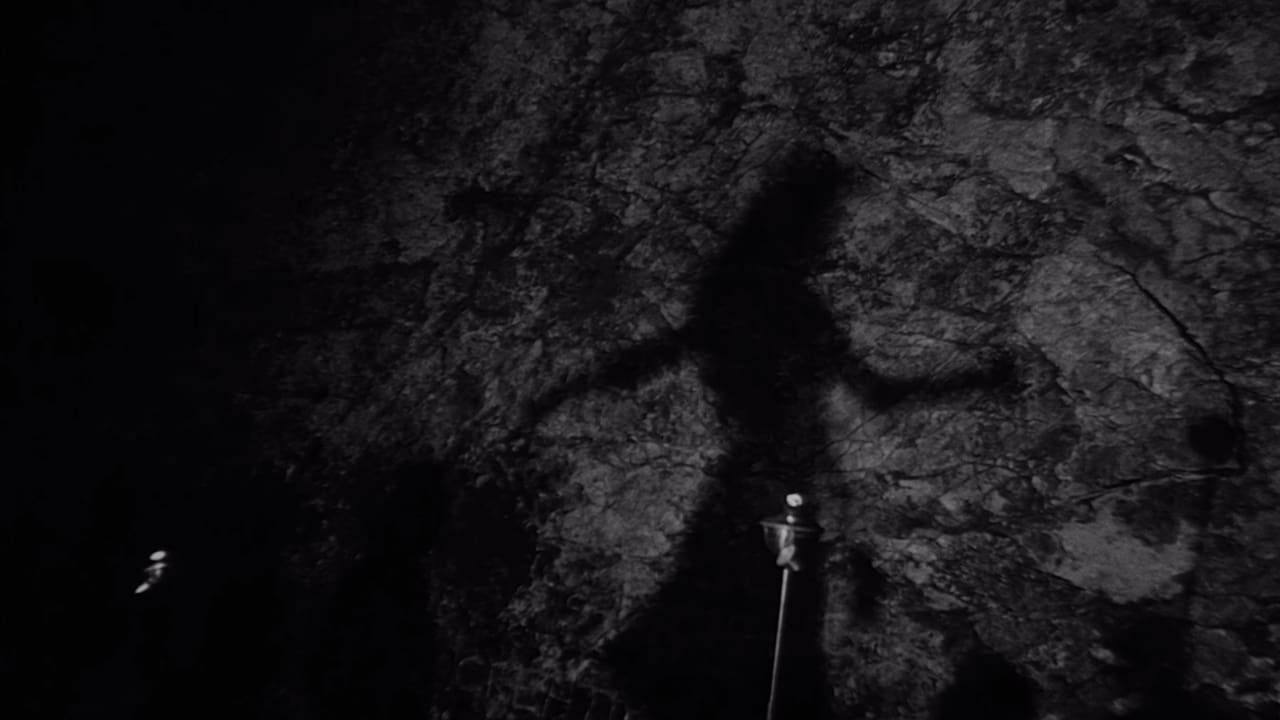 Ночной прилив