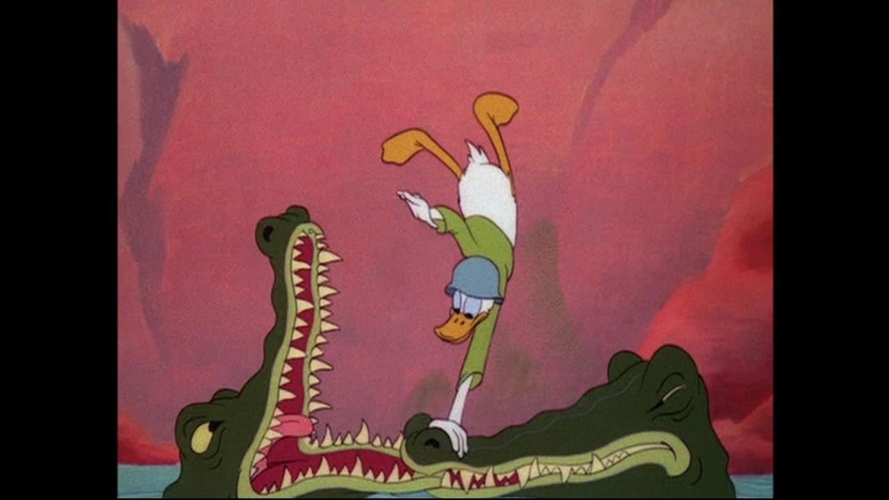 Утка коммандос