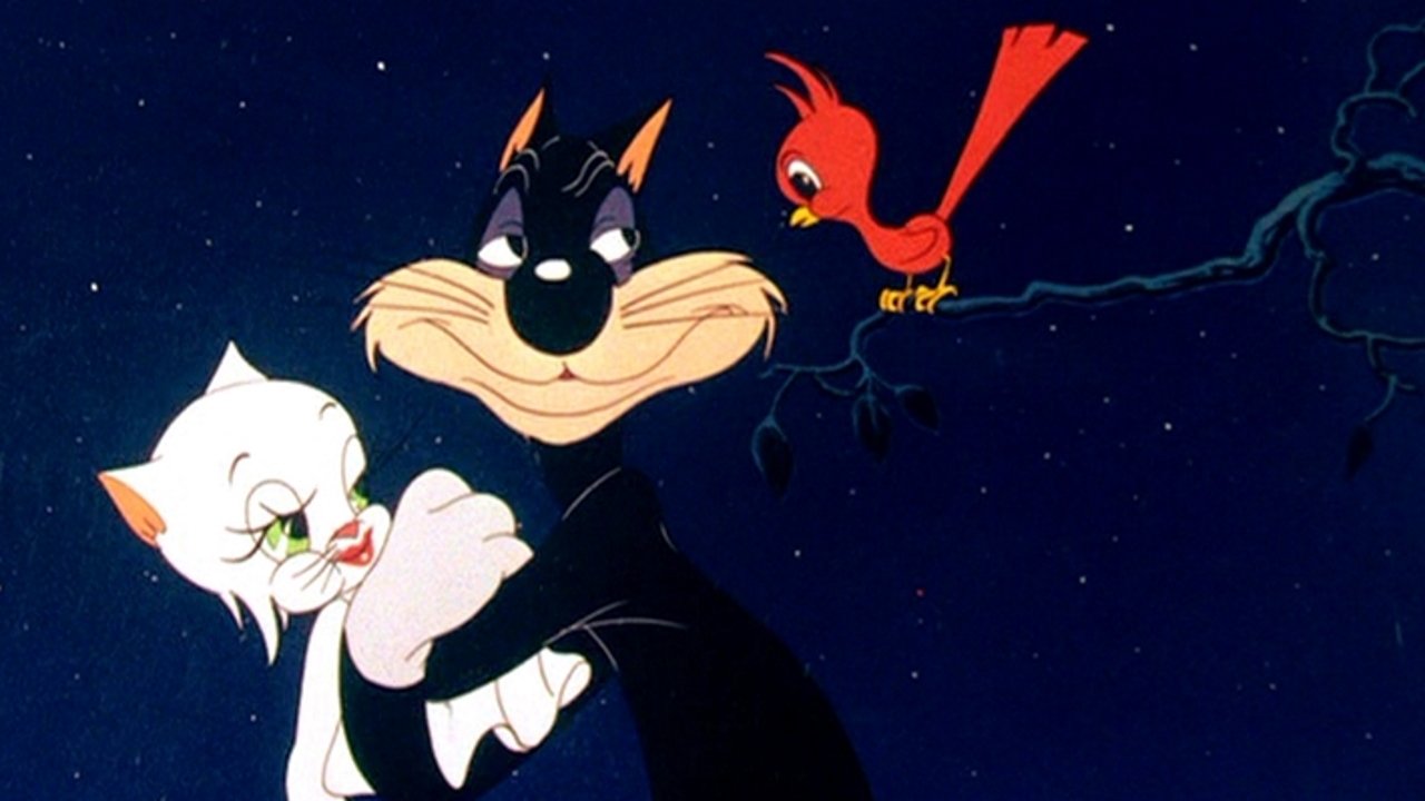 Кот Стиляга