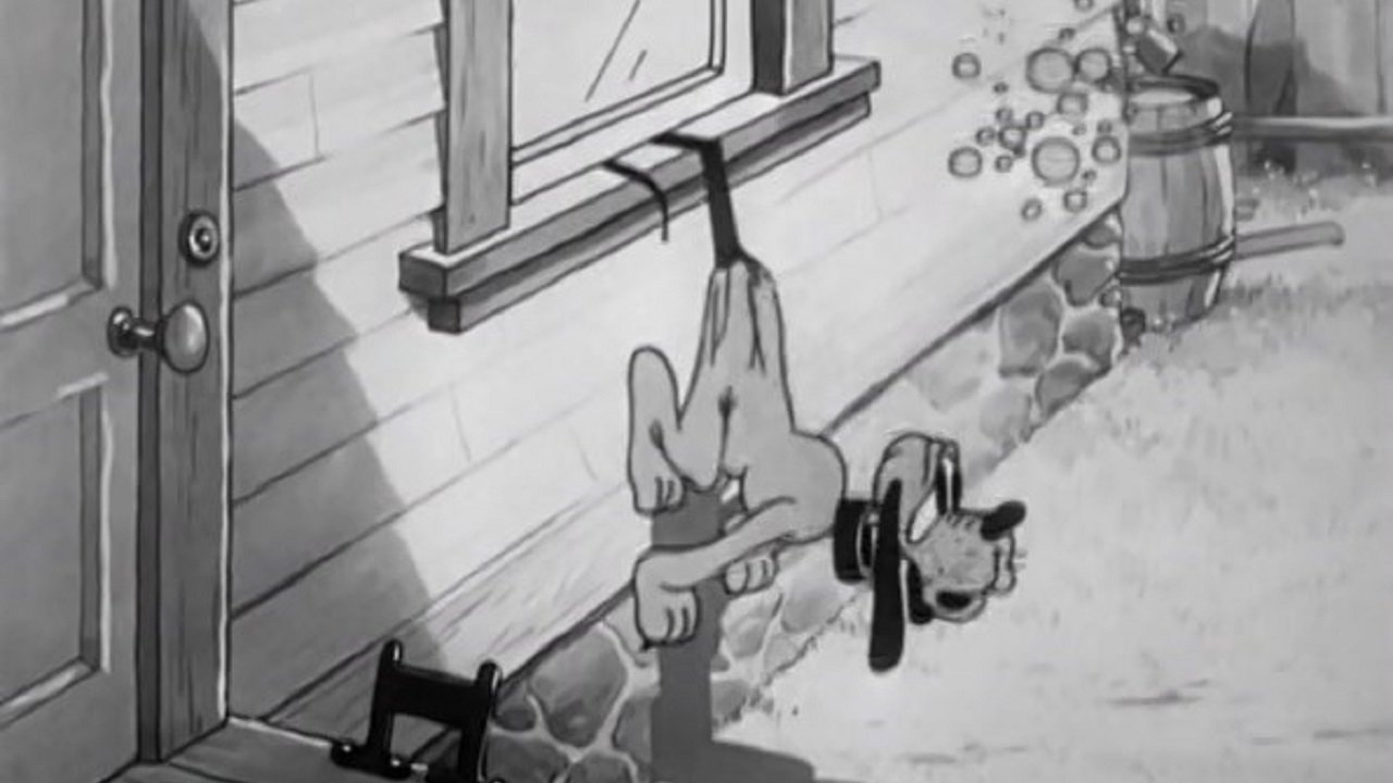 Сумасшедшая собака