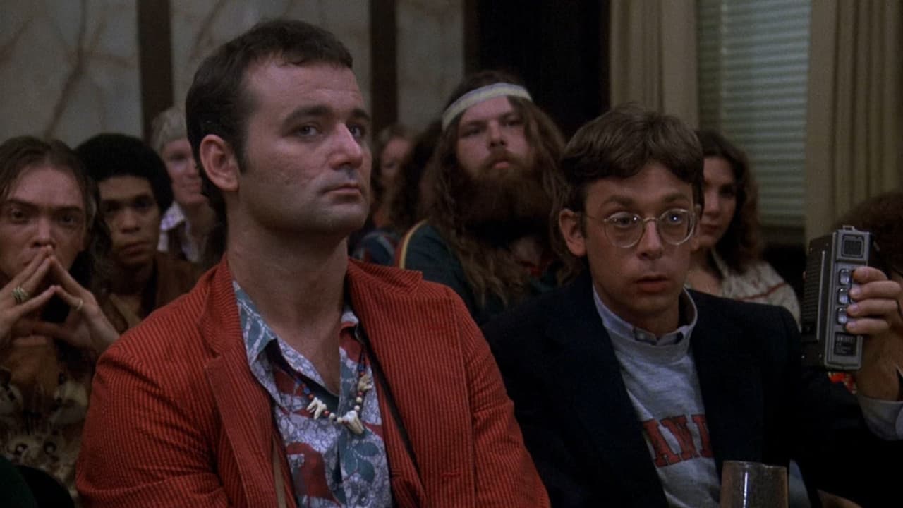 Там, где бродит бизон