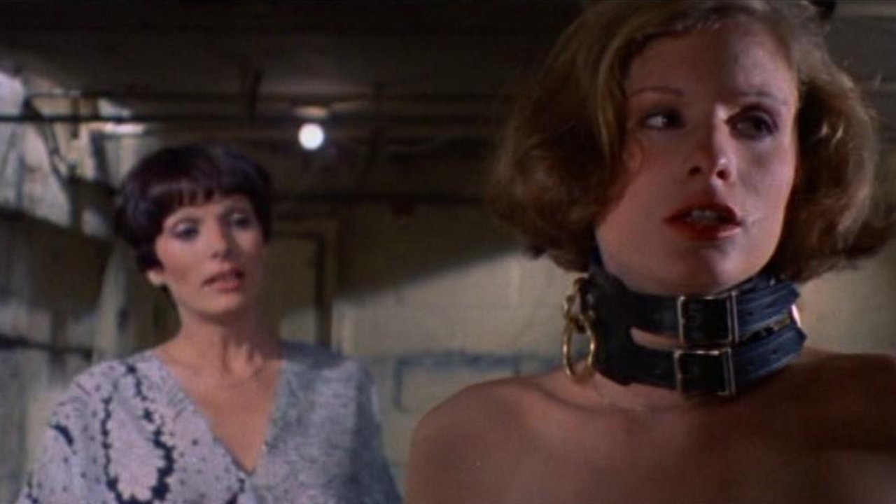 Коктейльная вишня