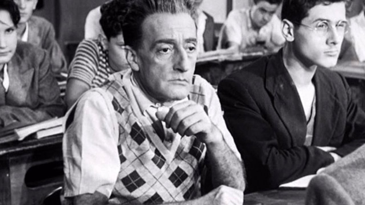 Тото в поисках дома