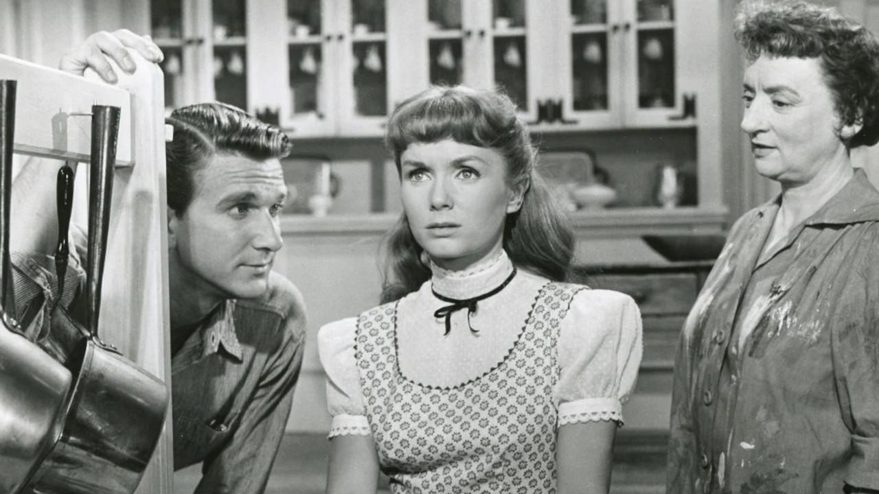 Тэмми и холостяк