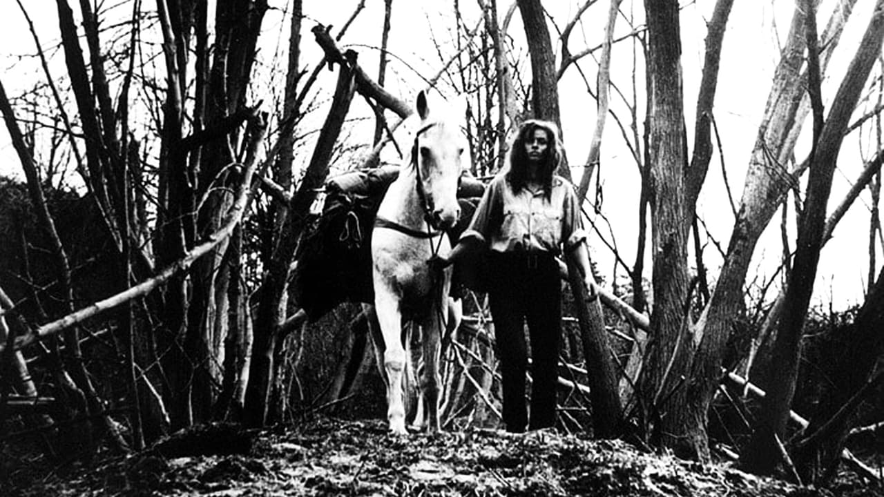 Конец августа в отеле Озон