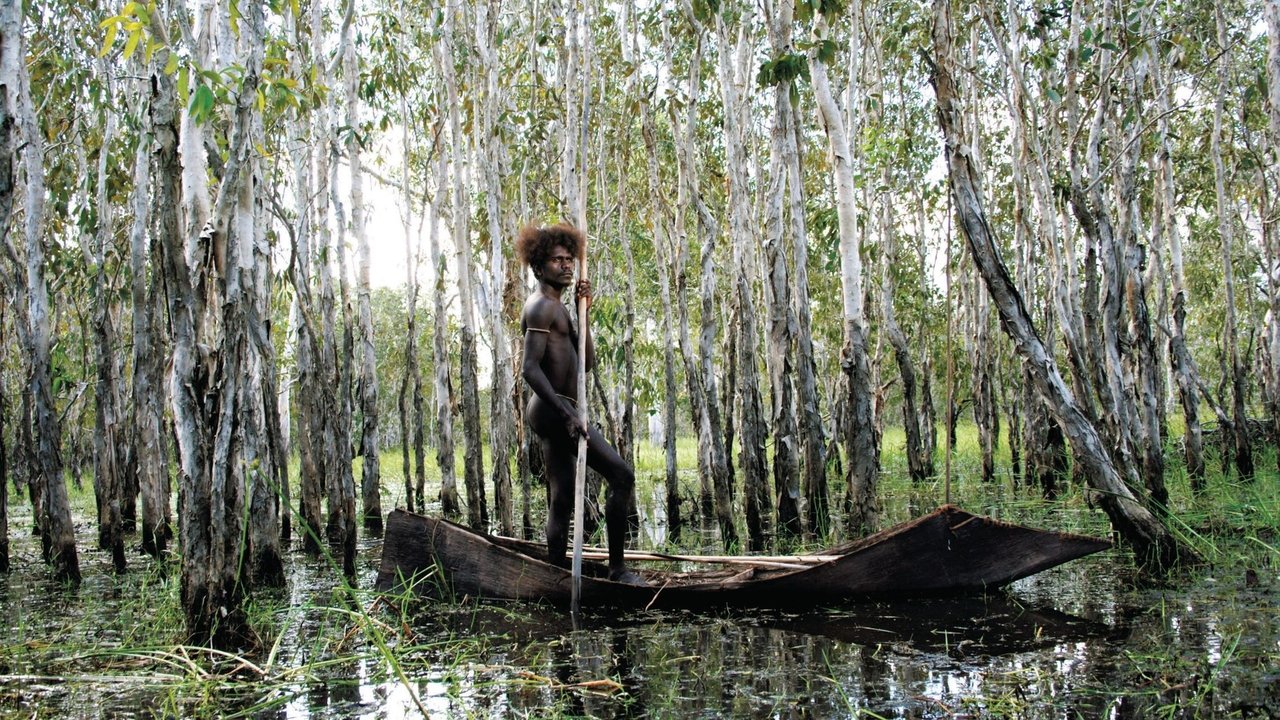 Десять лодок