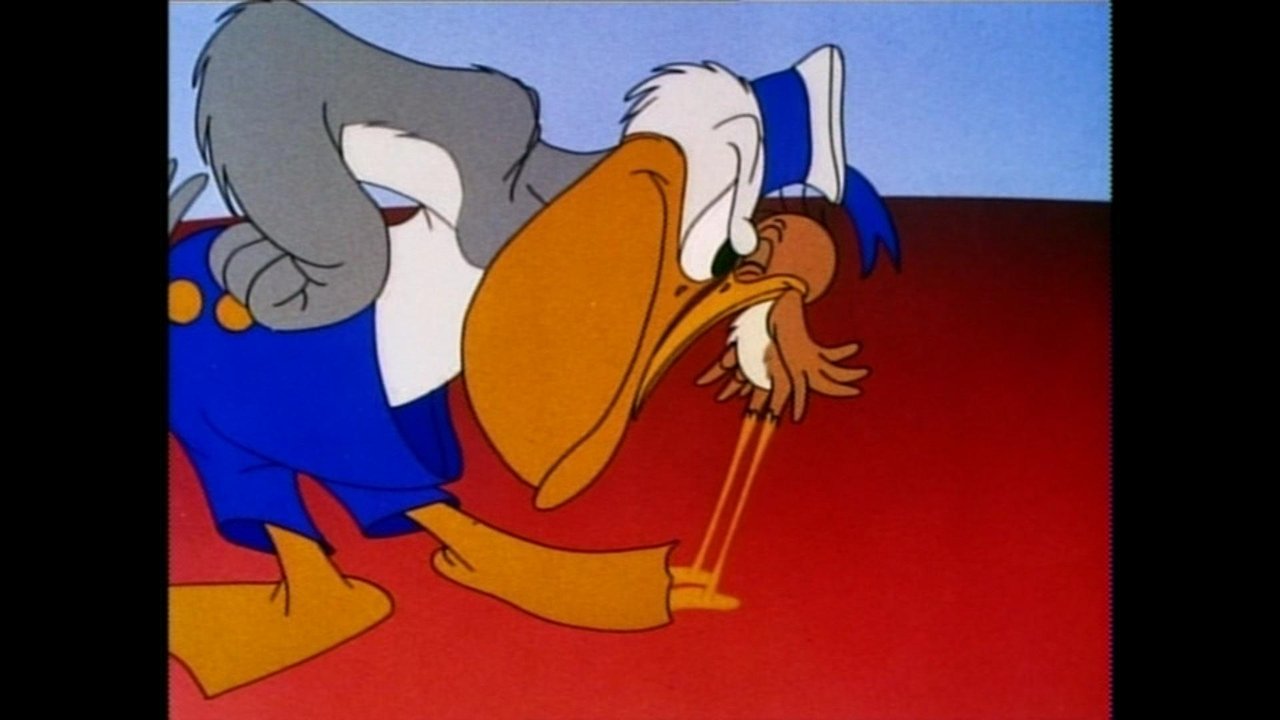 Пеликан и Бекас