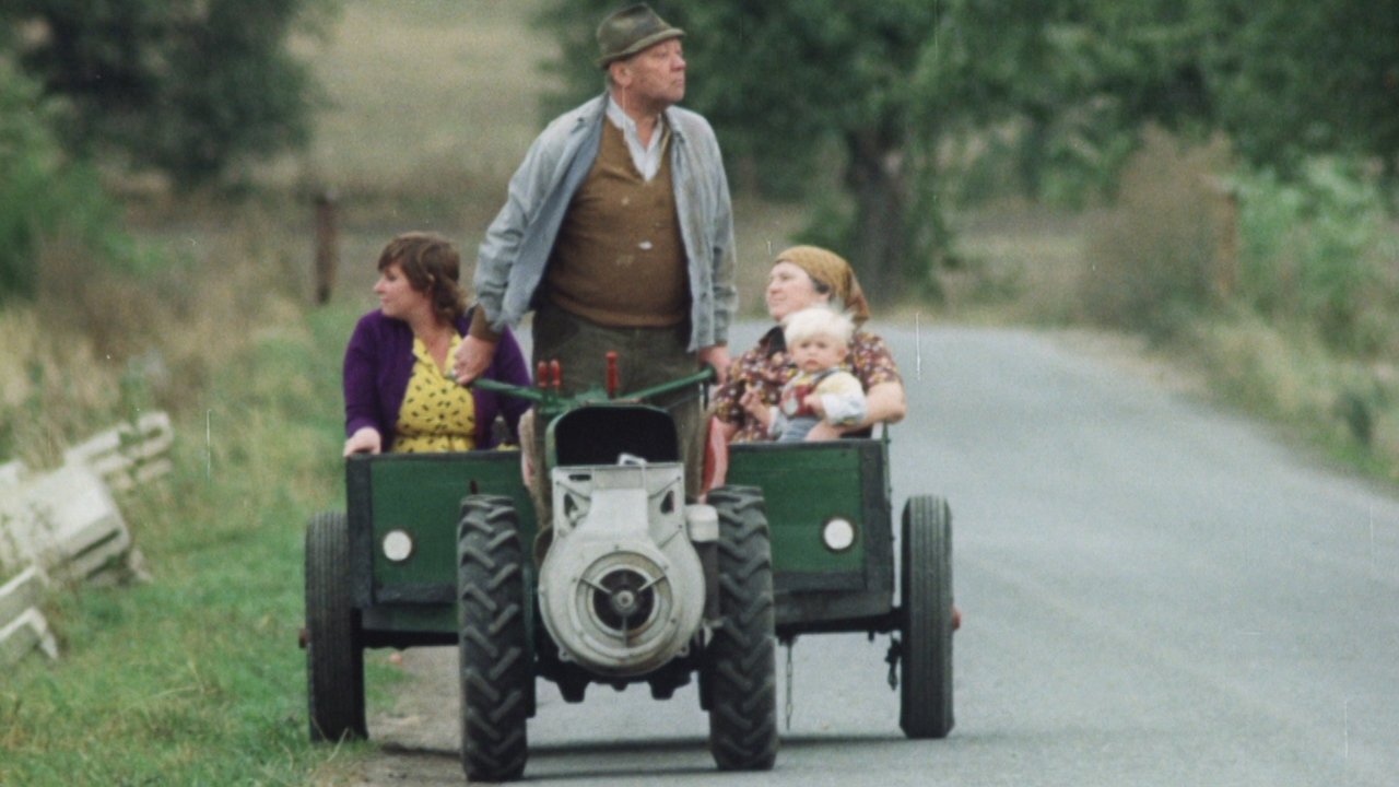 Праздник подснежников