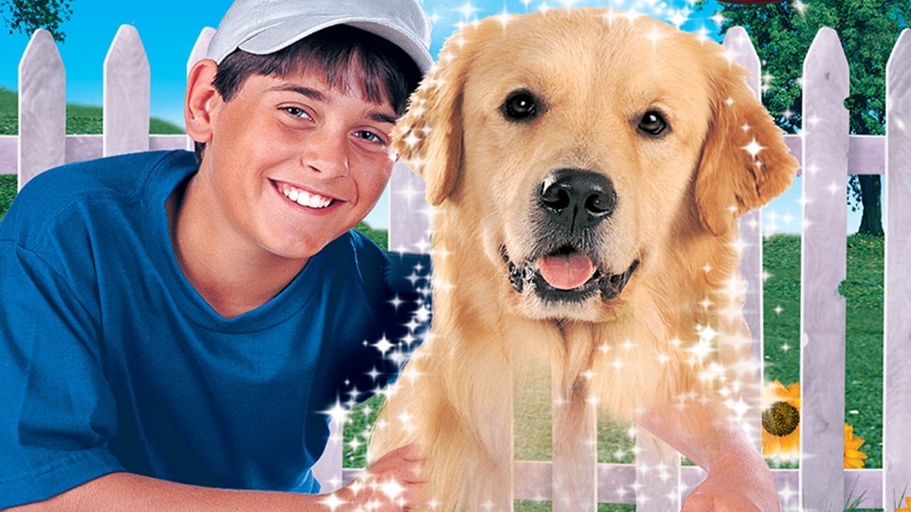 Пес-призрак