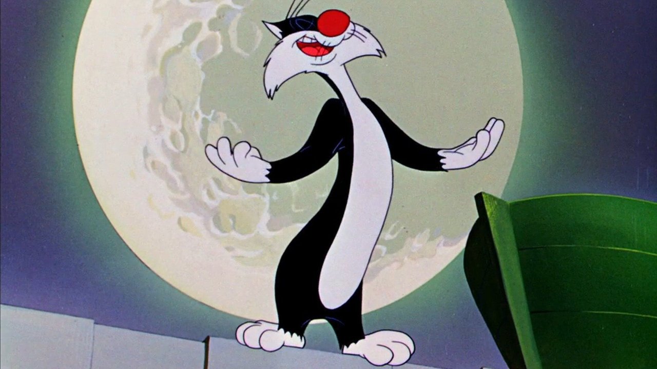 Ночной концерт